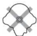 ALPINE IVE-W530ABT - Irregular Shaped Discs - 1