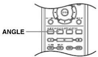 ONKYO DV-SP303 - 切换拍摄角度 - 1