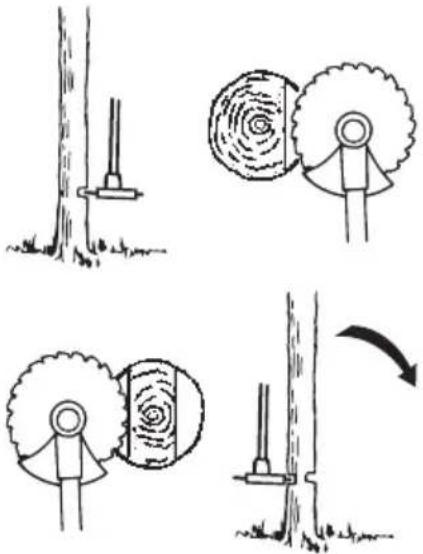 Diagram illustrating tree knotting and gear movement, showing four stages of gear cutting and tree ringing.