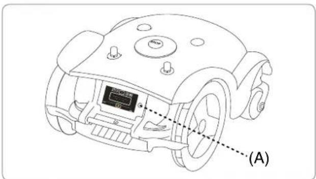 (A)