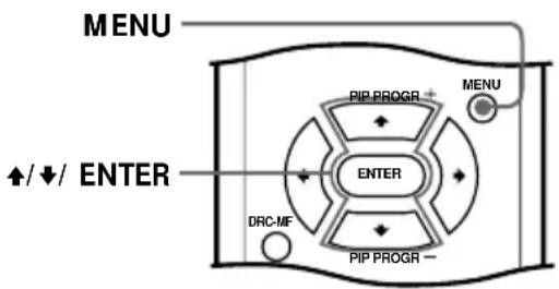 MENU ↑/↓/ ENTER PIP PROGR + PEN ENTER DRC-MF PIP PROGR - MENU