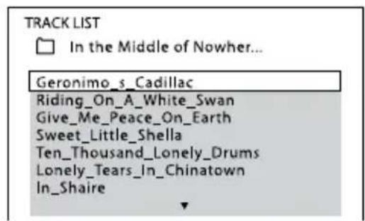 TRACK LIST In the Middle of Nowher... Geronimo_s_Cadillac Riding_On_A_White_Swan Give_Me_Peace_On_Earth Sweet_Little_Shella Ten_ Thousand_Lonely_Drums Lonely_Tears_In_Chinatown In_Shaire