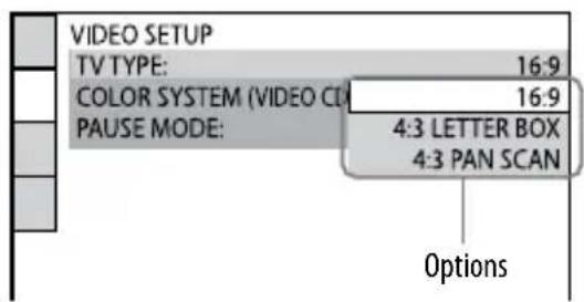 VIDEO SETUP TV TYPE: 16:9 COLOR SYSTEM (VIDEO C) PAUSE MODE: 4:3 LETTER BOX 4:3 PAN SCAN Options