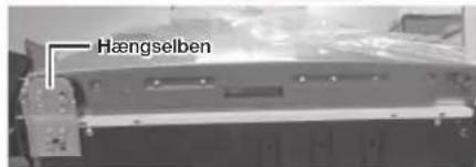 SAMSUNG RB3DN5000WW - Afmontering af køleskabsdøren - 20
