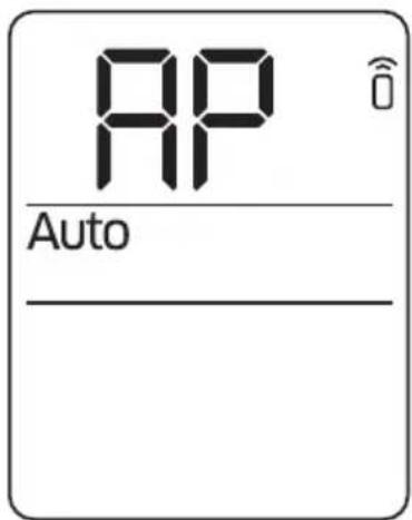 AP Auto