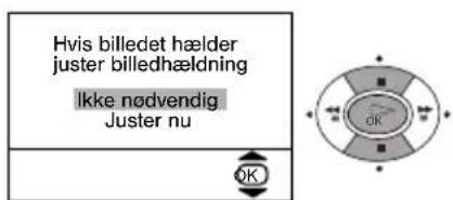 SONY KV-28LS60E - Tænd for TV-apparatet og automatisk program-indstilling - 6