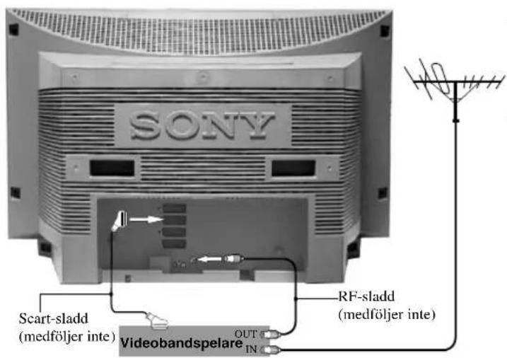 SONY Scart-sladd (medföljer inte) Videobandspelare RF-sladd (medföljer inte) OUT IN