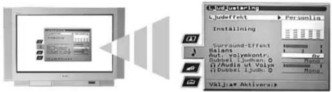 Ljudstering Ljudeffect Personin Installing Surround-Effect Balans Aut. volyekontr: Dubbel 1.judban: 0 D/Audia ut Volya D/ Dubbel 1.judb: 0 Hond. Valj.viv Aktiverat