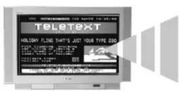 TELETEXT HOLIDAY FLING DATA'S JUST YOUR TYPE 200