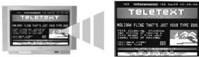 TELETEXT HOLIDAY FLING THAT'S JUST YOUR TYPE 220 100 Apr-05 10:35:59 TELETEXT HOLIDAY FLING THAT'S JUST YOUR TYPE 220 PICK CLADDING, SCLIDING, OUR ITEMS SHEET ON A CITY BREAK - FIND YOUR LOOKED HIND OF HOJILOGY: HOLDY FLING THAT'S JUST YOUR TYPE 220 HOLDY FLING THAT'S JUST YOUR TYPE 220