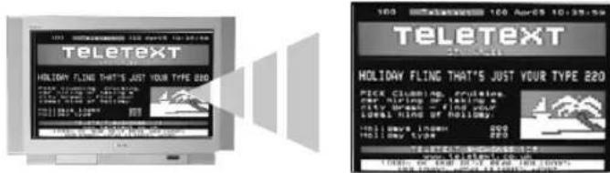 TELETEXT HOLIDAY FLING THAT'S JUST YOUR TYPE 220 100 100 Apr-05 10:39:59 TELETEXT HOLIDAY FLING THAT'S JUST YOUR TYPE 220 PECK CLINNING, PRAULING, OUR NEW YORK TIMES a city broadcast - find your LEVEL FING OF HOLIDAY! 1001 SHOW INCOME 200 HOLIDAY TIME 200 www.teletext.com.cn TORTISLY OR TALKS BY #48# NEW YORK