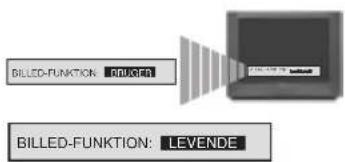 BILLD-FUNKTION: REDUCT BILLD-FUNKTION: LEVENDE