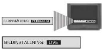 BILDINSTALLING: LIVE