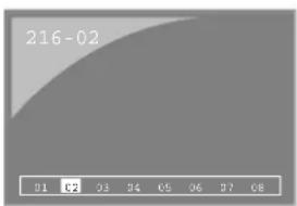 216-02 01 03 04 05 06 07 08