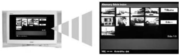 Memory Stick Index Tilbata Side = Side 1/2 VIE **** Kokukho OK