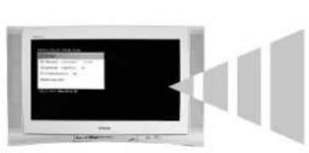 SONY KV-36FQ80E - Inställning - 2