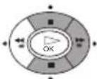 SONY KV-32FX68E - Tænd for TV-apparatet og automatisk program-indstilling - 12