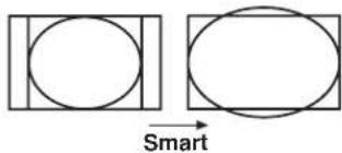 Smart