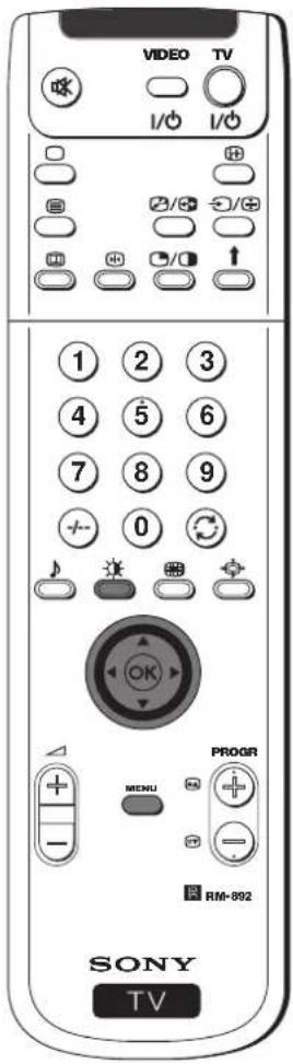 VIDEO TV I/O I/O 1 2 3 4 5 6 7 8 9 0 ① ② ③ ④ ⑤ ⑥ ⑦ ⑧ ⑨ + - + MENU PROGR RM-892 SONY TV