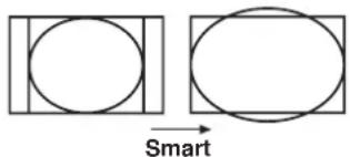 Smart