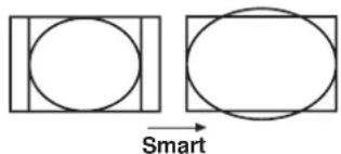 Smart