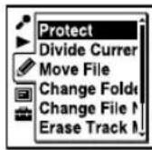 SONY ICD-UX502 - Protecting a File - 2