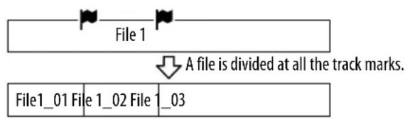 File 1 A file is divided at all the track marks. File1_01 File 1_02 File 1_03