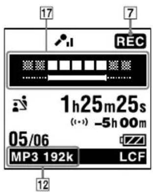17 7 REC 1h25m25s (···) -5h 00m 05/06 MP3 192k LCF 12