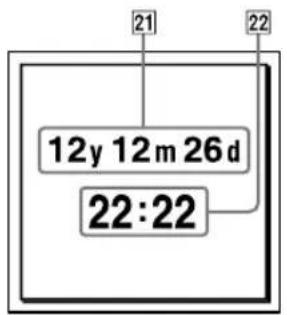 21 22 12y 12m 26d 22:22