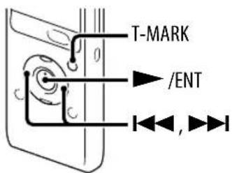 T-MARK /ENT ,