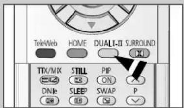 TekWeb HOME DUALI-II SURROUND TTX/MIX STILL PIP DNJe SLEEP SWAP P