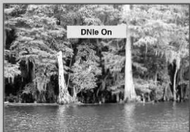 DNle On