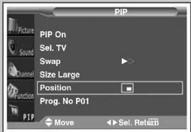 PIP PIP On Sel. TV Swap Size Large Position Prog. No P01 Move Sel. RetAB