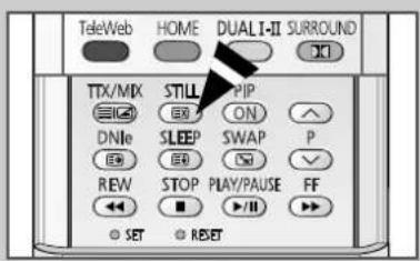TeleWeb HOME DUALI-II SURROUND TTX/MIX STILL PIP DNMe SLEEP SWAP P REW STOP PLAY/PAUSE FF SET RESET
