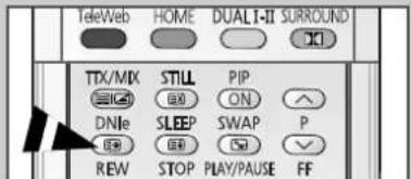 TeleWeb HOME DUALT-II SURROUND TTX/MIX STILL PIP DNIE SLEEP SWAP P REW STOP PLAY/PAUSE FF