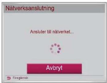 Nätverksanslutning Ansluter till nätverket... Avbryt Fingdomine