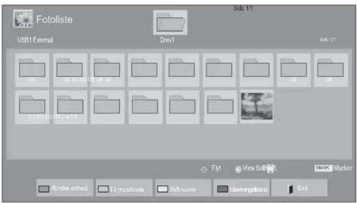 Fotoliste USB1 External Drev1 USB1 301 302 X0015 05396 267 308 309 310 010 020 040 15 Fly View SoRGB Filter M-XX Marker /Andre enhed Til musiklste Selt runne Markingboard Exit