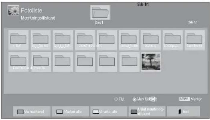 LG 47LD450N - ■ NÅR DE VALGTE FOTOFILER VISES - 1