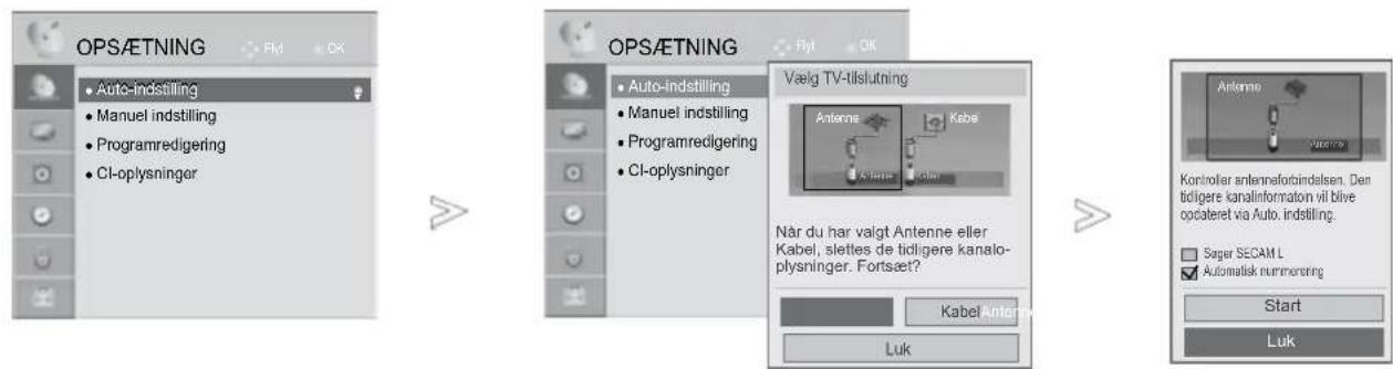 LG 47LD450N - Hvis du vil vælge antenne: - 1
