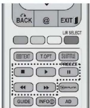 BACK @ EXIT UR SELECT TEXT T.OPT SUBTITLE FREEZE GUIDE INFO ① AD