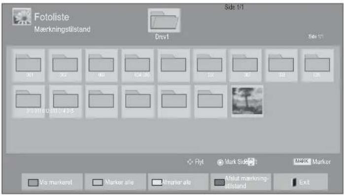 LG 42LD450N - ■ Når DE VALGTE FOTOFILER VISES - 1