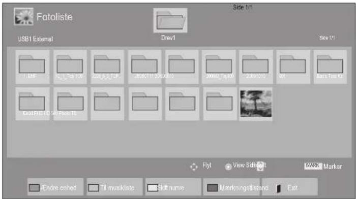 Fotoliste USB1 External Drev1 Side 1/1 Side 1/1 1.DMF 2.0x 2.5x 3.0x 20.0x 7.1x 20.6x 8.1x 20.0x 7.4x 8.0x 2.4x 3.5x 4.0x BVI Data Tree Kit GOLD BIS 10 V/D Pids 10 Flyt View Side Exit PINK Marker Ende.seshed Til musiklste Skiff nume Markingsolidand Exit