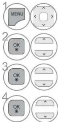 1 MENU 2 OK 3 OK 4