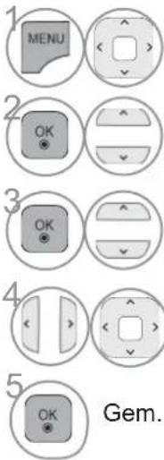 1 MENU 2 OK 3 OK 4 OK Gem.