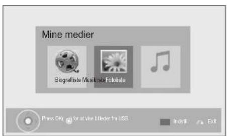 Mine medier Biografiste Musikliste Fotoliste Press OK for at vise itlacker to USA Institute Exit