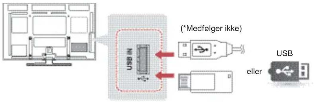 LG 60PA550T - Tilslutning til en USB-enhed - 1