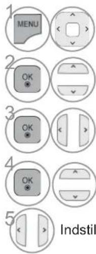 1 MENU 2 OK 3 OK 4 OK 5 Indstil