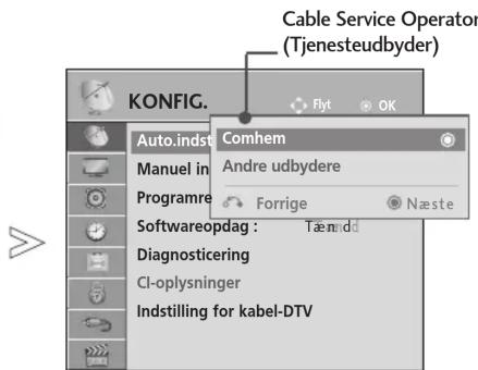 Cable Service Operator (Tjenesteudbyder) KONFIG. Auto.indst Comhem Manuel in Andre udbydere Programme Forrige Næste Softwareopdag : Tæmidd Diagnosticering CI-oplysninger Indstilling for kabel-DTV
