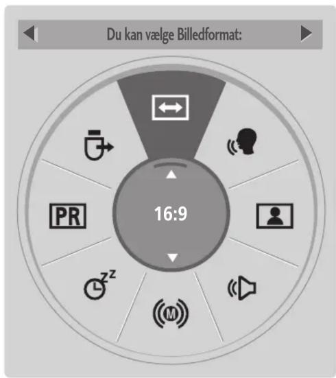 Du kan vælge Billedformat: 16:9