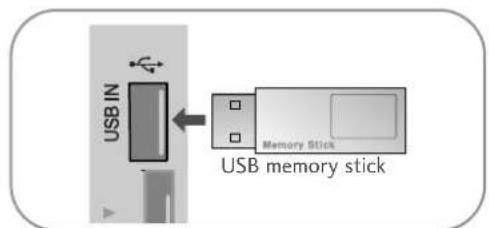 LG 50PJ250N - Når USB-enheden tilsluttes - 1
